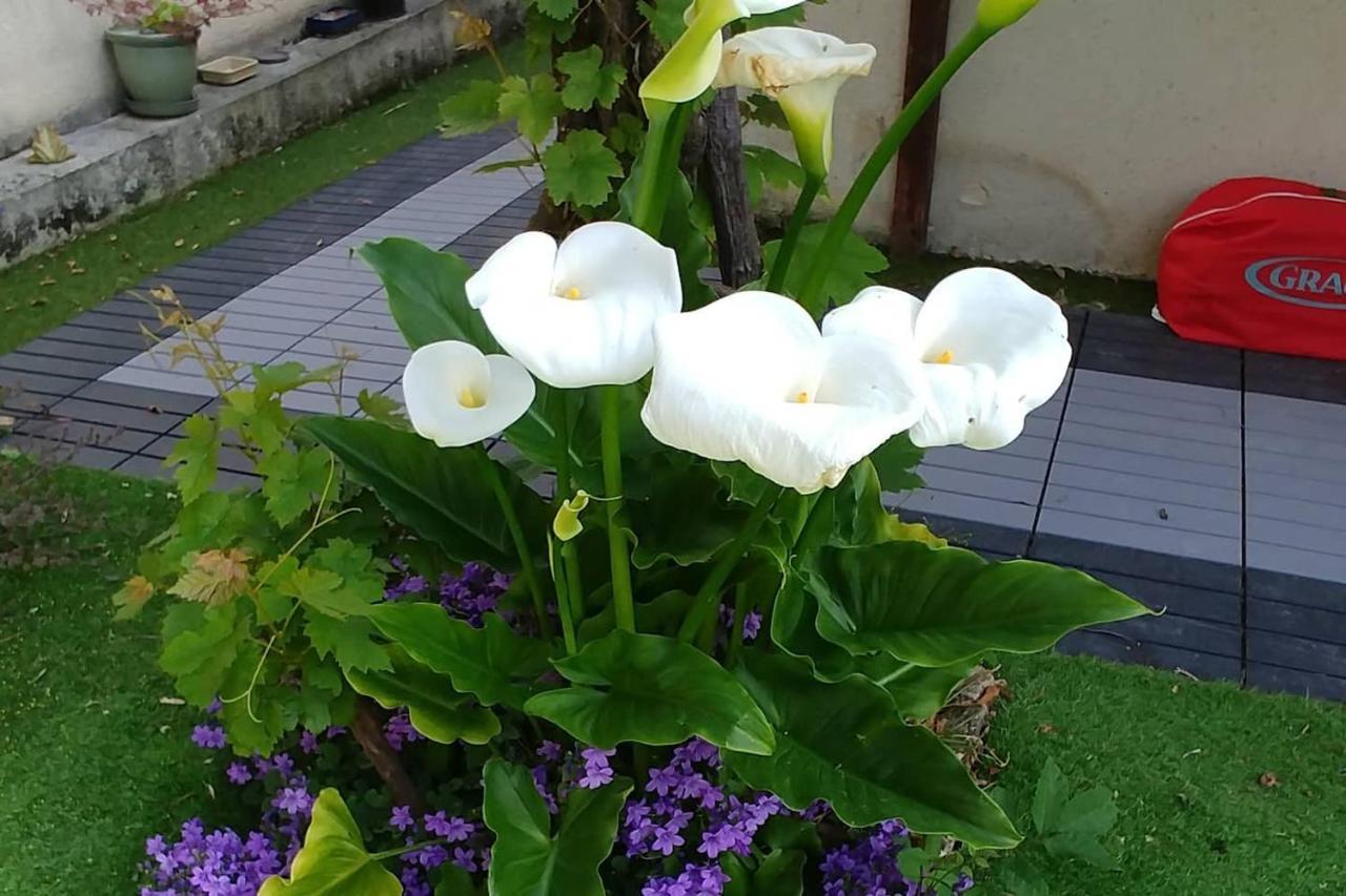 Great Family House, 80 M To The Sea, In Normandie Villa Hermanville-sur-Mer ภายนอก รูปภาพ